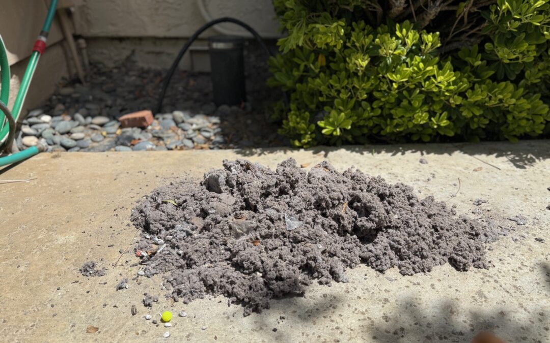 San Diego Homeowners PSA: The Importance of Dryer Vent and Duct Cleaning
